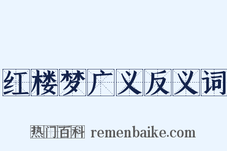 红楼梦广义反义词是什么意思的图片
